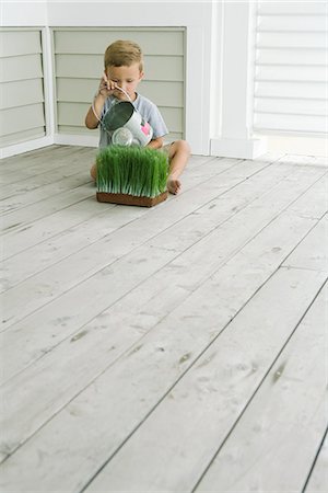 Boy sitting on the ground, watering wheat grass Foto de stock - Sin royalties Premium, Código: 695-05767559