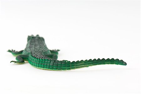 Toy alligator Stock Photo - Premium Royalty-Free, Code: 695-05768012