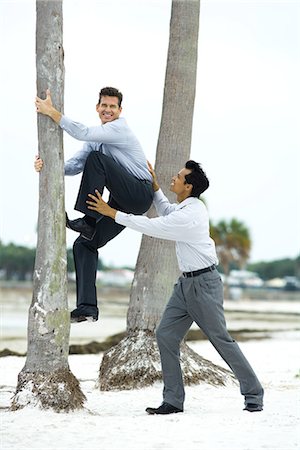 Businessman climbing palm tree with associate's help Stock Photo - Premium Royalty-Free, Code: 695-05768604