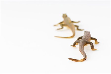 Toy lizards, one following the other, rear view Stock Photo - Premium Royalty-Free, Code: 695-05768900