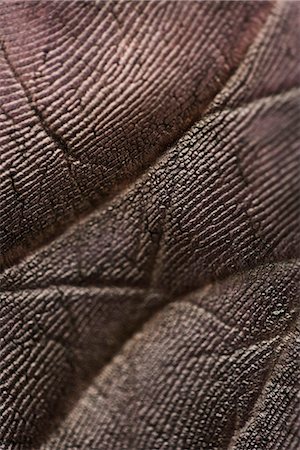 extreme close up - Blackened palm of hand, extreme close-up Stock Photo - Premium Royalty-Free, Code: 695-05769494