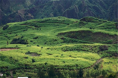 rolling hills of africa - Verdant mountain landscape on Reunion island in Africa Stock Photo - Premium Royalty-Free, Code: 695-05769589