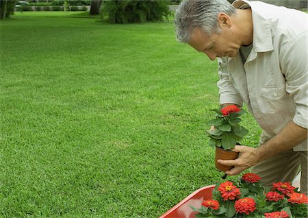 flower bending over - Mature man holding potted flower Stock Photo - Premium Royalty-Free, Code: 695-05763333