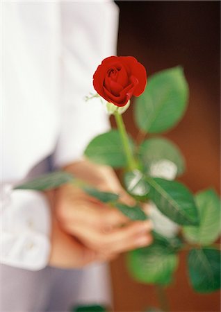 passion flower - Hands holding rose, close-up, blurred Stock Photo - Premium Royalty-Free, Code: 695-05774594