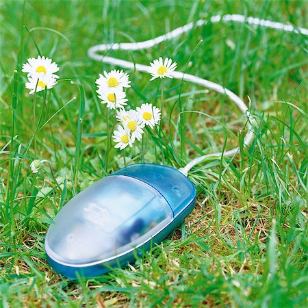 plastic flowers - Computer mouse on grass next to flowers Stock Photo - Premium Royalty-Free, Code: 695-05776854