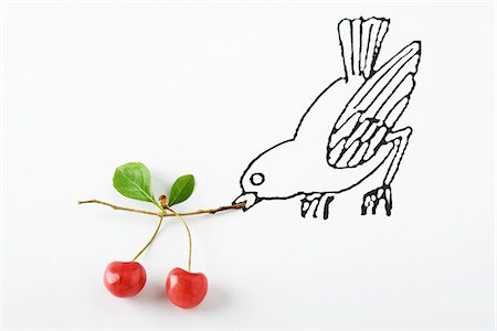 Drawing of bird carrying ripe cherries Foto de stock - Sin royalties Premium, Código: 695-05779510