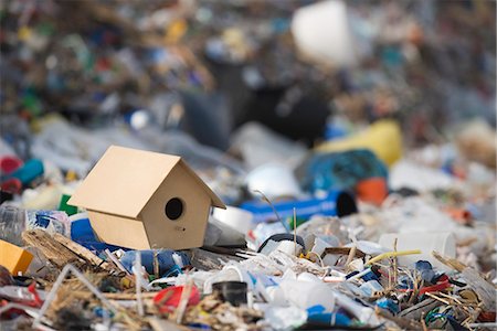 environmental pollution of garbage - Birdhouse on ground surrounded by landfill trash Stock Photo - Premium Royalty-Free, Code: 695-05770908