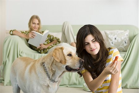 Teenage girl offering dog biscuit to pet dog Stock Photo - Premium Royalty-Free, Code: 695-05771207