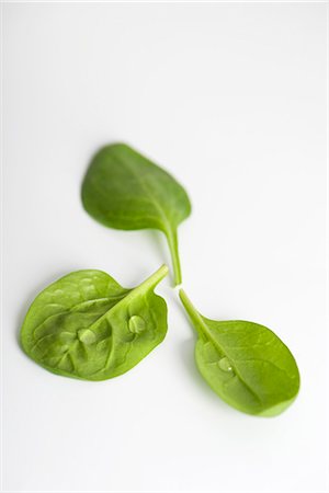 simsearch:695-05780187,k - Fresh baby spinach Foto de stock - Sin royalties Premium, Código: 695-05771764