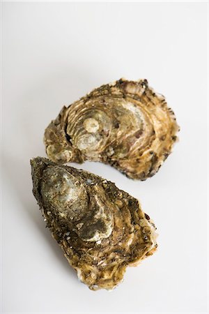 raw oyster - Fresh raw oysters Stock Photo - Premium Royalty-Free, Code: 695-05771760