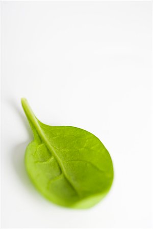 spinach leaf - Baby spinach Stock Photo - Premium Royalty-Free, Code: 695-05771763