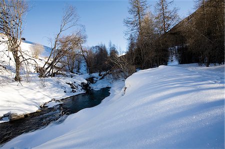 snow border - Paysage enneigé Photographie de stock - Premium Libres de Droits, Code: 695-05771884