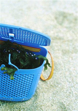 shrimp fishing - Plastic container holding seaweed on beach Stock Photo - Premium Royalty-Free, Code: 695-05772034