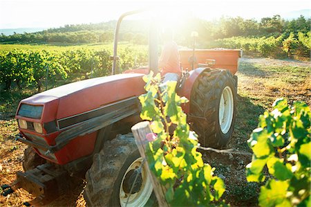 Tractor in vineyard Stock Photo - Premium Royalty-Free, Code: 695-05772289