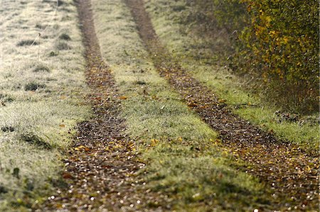 France, Jura, rural path in autumn Stock Photo - Premium Royalty-Free, Code: 695-05772377