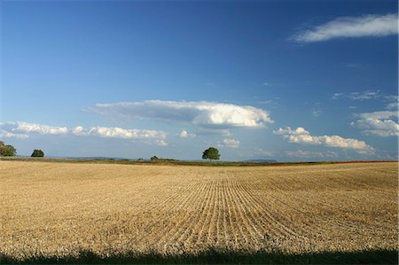 deserted country farm - France, Jura, wheatfield Stock Photo - Premium Royalty-Free, Code: 695-05772382