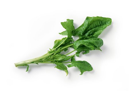 simsearch:600-07288072,k - Spinach stem and leaves, full length Foto de stock - Royalty Free Premium, Número: 695-05773554