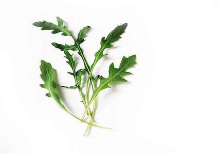 rucola - Arugula leaves, close-up Foto de stock - Sin royalties Premium, Código: 695-05773558