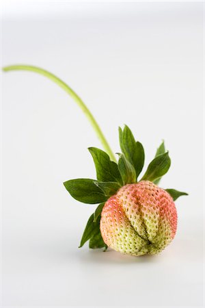 strawberries white background nobody - Unripe strawberry Stock Photo - Premium Royalty-Free, Code: 695-05780015