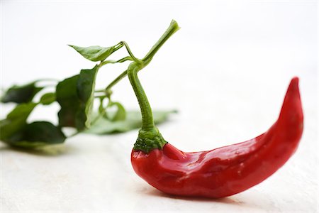 piment rouge - Chili pepper Photographie de stock - Premium Libres de Droits, Code: 695-05780046
