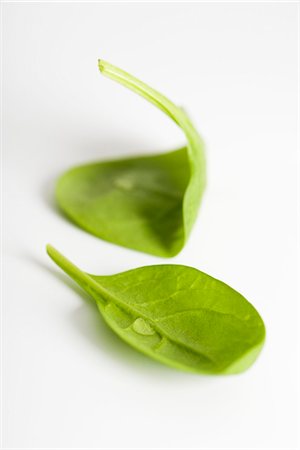 purity (free from pollutants and dirt) - Fresh baby spinach Foto de stock - Sin royalties Premium, Código: 695-05780187