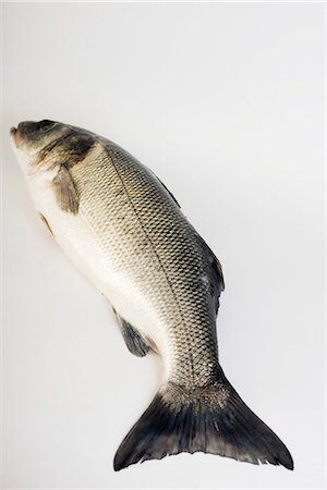 fresh food - Sea trout Stock Photo - Premium Royalty-Free, Code: 695-05780191