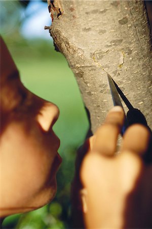 simsearch:633-05401372,k - Girl carving heart on tree trunk, close-up Stock Photo - Premium Royalty-Free, Code: 695-03374617