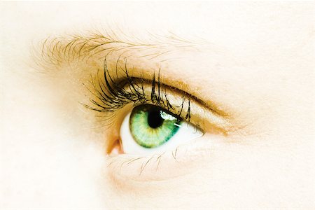 extreme close up human eye - Female eye, extreme close-up Stock Photo - Premium Royalty-Free, Code: 695-03375607