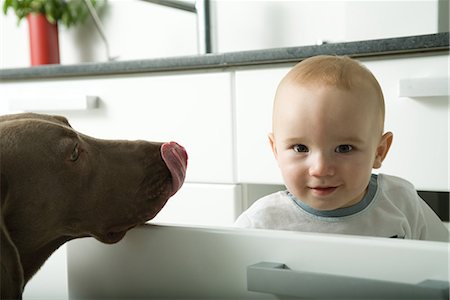 La lecture de tiroir à la caméra tandis que le chien lèche le nez de bébé Photographie de stock - Premium Libres de Droits, Code: 695-03376589