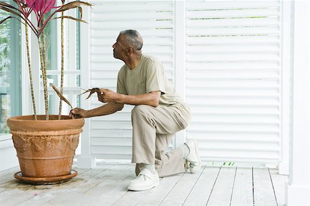 simsearch:696-03395223,k - Man kneeling next to potted plant, holding dried leaves in hand, side view Foto de stock - Sin royalties Premium, Código: 695-03377788