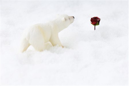 simsearch:695-03390441,k - Polar bear toy approaching rose in snow Stock Photo - Premium Royalty-Free, Code: 695-03379058