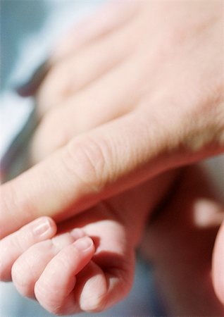 simsearch:695-03384924,k - Adult's hand touching baby's hand, close-up Foto de stock - Royalty Free Premium, Número: 695-03384942