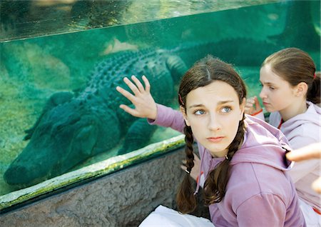 Teen girl toucher aquarium en verre contenant alligator Photographie de stock - Premium Libres de Droits, Code: 695-03388788