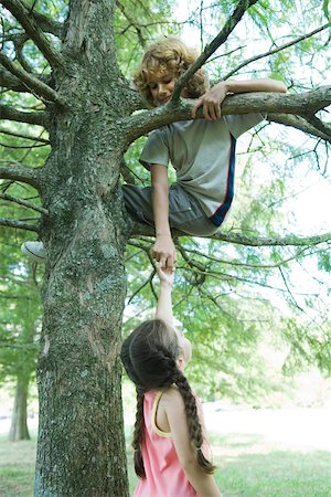 Boy sitting in tree, reaching down to hold girl's hand Stock Photo - Premium Royalty-Free, Code: 695-03389188