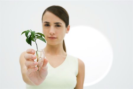 Woman holding seedling in vase, looking at camera Foto de stock - Royalty Free Premium, Número: 695-03380101