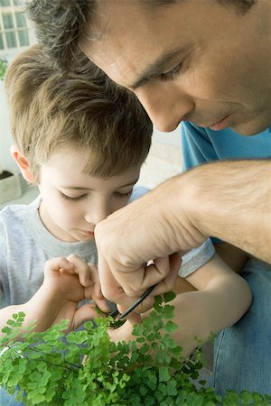 father son gardening - Father and son pruning plant together, close-up Stock Photo - Premium Royalty-Free, Code: 695-03380212