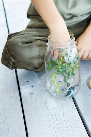 simsearch:632-03424651,k - Boy putting berries and toy frog into glass jar, close-up Stock Photo - Premium Royalty-Free, Code: 695-03380423