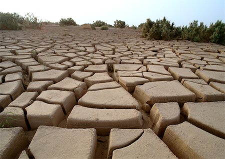 simsearch:851-02963598,k - Tunisie, désert du Sahara, cracked mud, gros plan Photographie de stock - Premium Libres de Droits, Code: 695-03381068