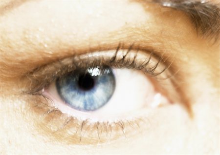 Blue eye de femme, vue de face, gros plan Photographie de stock - Premium Libres de Droits, Code: 695-03383049