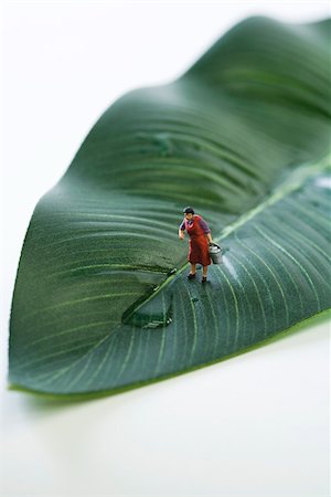 Miniature woman standing on leaf, water spilled in front of her Stock Photo - Premium Royalty-Free, Code: 695-03390403