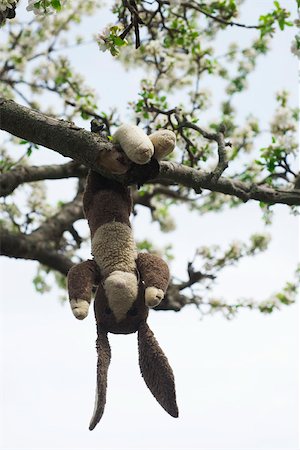 Stuffed rabbit hanging upside down on tree branch Foto de stock - Sin royalties Premium, Código: 695-03390453