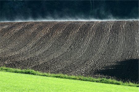 Champ de France, du Jura, après la pluie Photographie de stock - Premium Libres de Droits, Code: 696-05780850