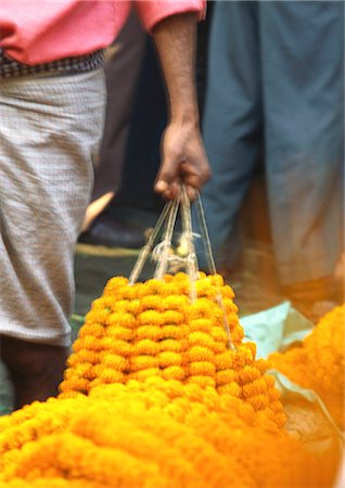 India, man carrying marigold garlands Stock Photo - Premium Royalty-Free, Code: 696-05780914