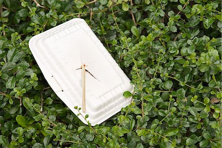 simsearch:696-03398282,k - Polystyrene container and chopsticks littering bushes Stock Photo - Premium Royalty-Free, Code: 696-03394420