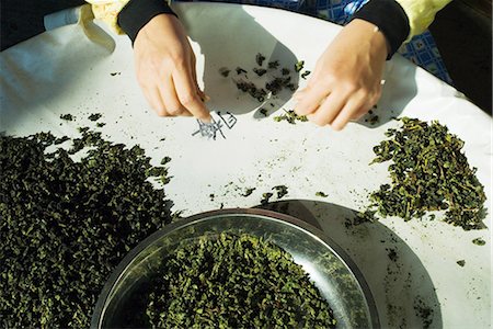 simsearch:656-04926504,k - Woman sorting tea leaves, cropped view of hands Foto de stock - Sin royalties Premium, Código: 696-03394456