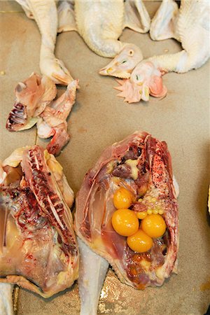 Poultry in market, including cross section of hen, showing organs Foto de stock - Sin royalties Premium, Código: 696-03394467