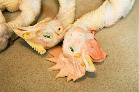 Dead skinned chickens, close-up of heads Fotografie stock - Premium Royalty-Free, Codice: 696-03394468