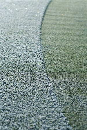 simsearch:696-03396961,k - Frost-covered grass Stock Photo - Premium Royalty-Free, Code: 696-03394755