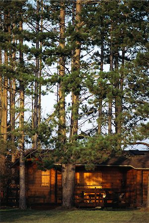 shutters for log cabins - Log cabin in woods Stock Photo - Premium Royalty-Free, Code: 696-03394982