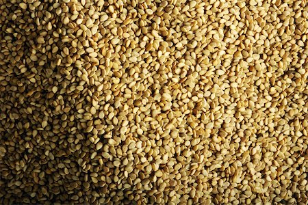 seed and nobody - Sesame seeds, extreme close-up, full frame Stock Photo - Premium Royalty-Free, Code: 696-03395321